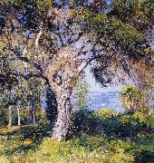 Guy Rose The Oak oil painting artist